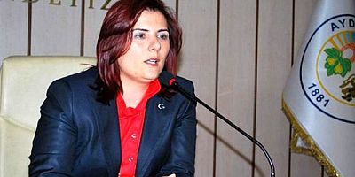 CHP'li Çerçioğlu'ndan AK Partili vekillere Volkswagen çağrısı: Mücadele etmeliyiz