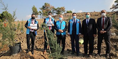 Mevlid-i Nebi Haftası münasebetiyle 50 bin fidan dikildi